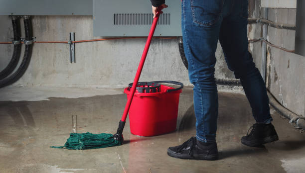 Best Flooded house restoration  in Hallstead, PA