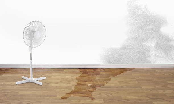 Best Flood restoration services  in Hallstead, PA