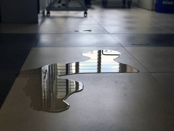 Best Professional water damage repair  in Hallstead, PA