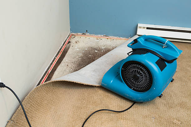 Best Basement water damage restoration  in Hallstead, PA